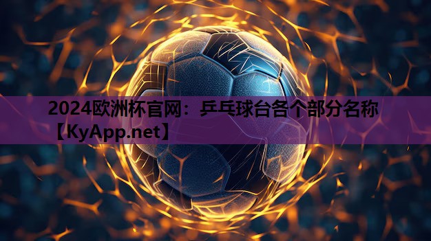 2024欧洲杯官网：乒乓球台各个部分名称