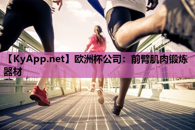 欧洲杯公司：前臂肌肉锻炼器材